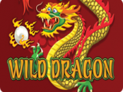 Wild Dragon